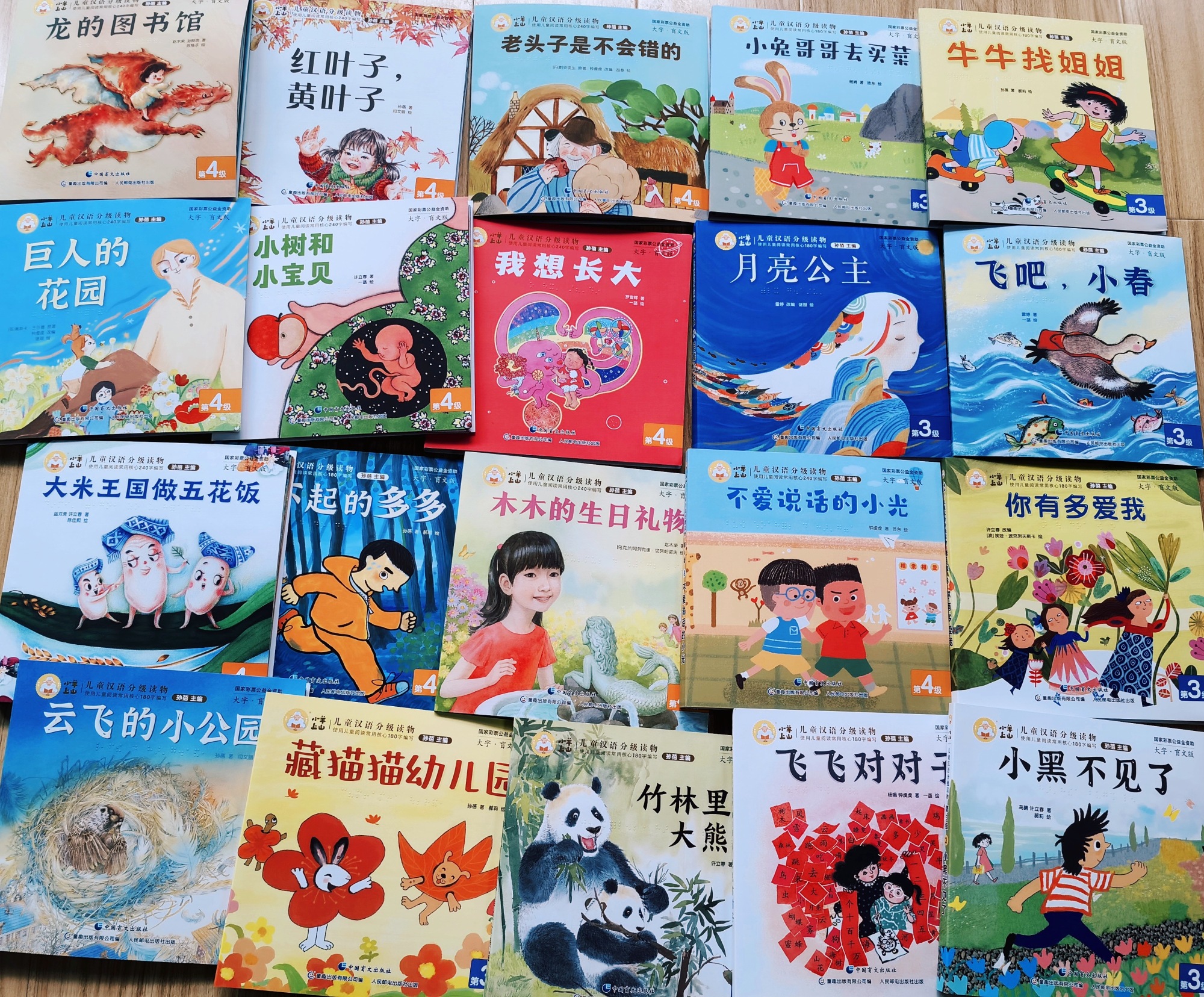 《小羊上山》 點(diǎn)亮視障兒童的閱讀星空